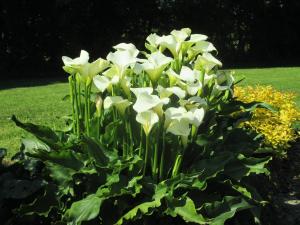 PK Lodge Bed and breakfast