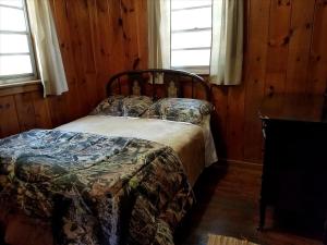 Rustic Cabin on the Shores of Pine Lake, Michigan