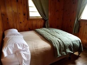 Rustic Cabin on the Shores of Pine Lake, Michigan