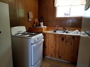 Rustic Cabin on the Shores of Pine Lake, Michigan