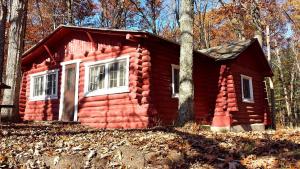 Secluded Lakeside Cabin in the Heart of the Manistee National Forest, Michigan
