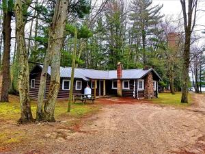 Spacious Family-Friendly Log Cabin with Lake Views near Cadillac, Michigan
