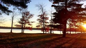 Spacious Family-Friendly Log Cabin with Lake Views near Cadillac, Michigan