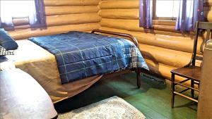 Spacious Family-Friendly Log Cabin with Lake Views near Cadillac, Michigan