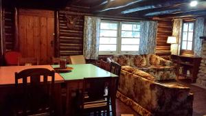 Spacious Family-Friendly Log Cabin with Lake Views near Cadillac, Michigan