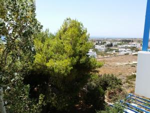 Studios Panorama Drios Paros Greece