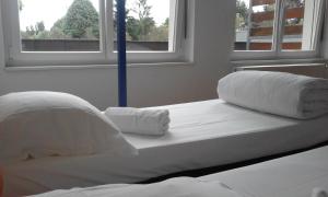 Auberges de jeunesse Auberge de Jeunesse de Mulhouse : photos des chambres