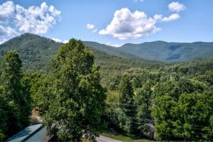 Mountain Glamping Cabin in Hayesville, North Carolina near the Appalachian Trail