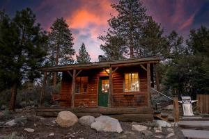 Traditional Forest Cabin for Four Guests in Angelus Oaks, California