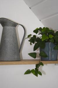 TyGroaz studio in Porspoder