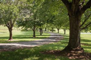 Charming Cottage Rental on a 50-Acre Historical Estate near Orange, Virginia