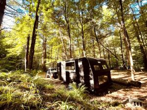 Romantic Glamping Getaway in a Pet Friendly Caravan, Ideal to Explore Hudson Valley