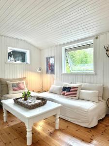 Cozy and spacious cottage close to the water