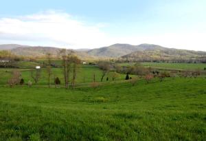 Deluxe Glamping Cabins at River Farm in Virginia