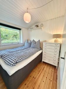 Cozy and spacious cottage close to the water