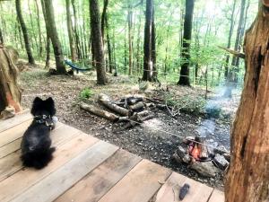 Tranquil Retreat Cabin Rental for a Woodland Vacation near Smithville, Tennessee