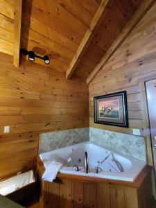 Cozy Riverside Cabin Retreat Near New River, Virginia