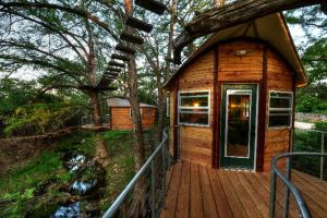 Adventures Await at this Stunning Tree House Retreat in Texas
