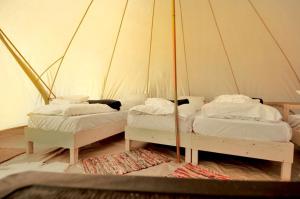 Deluxe Bell Tent Rental for a Unique Transylvania Holiday