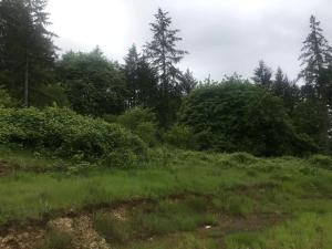 Luxurious Tent Vacation Rental on Glamping Site near Salem, Oregon