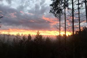Luxurious Tent Vacation Rental on Glamping Site near Salem, Oregon