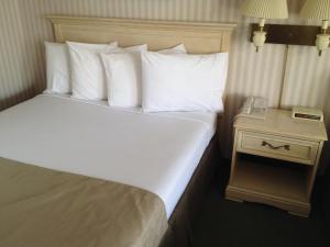 Standard Queen Room room in Parkside Inn Bridgeview