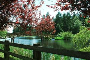 Spacious Bed and Breakfast Suite on Horse Farm for Unique Getaway in Oak Harbor, Washington