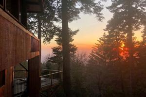 Contemporary Treetop Cabin with a Luxury Hot Tub in Idyllwild, California