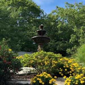 Delightful Room for Couples in a Bed and Breakfast near Camden, Maine