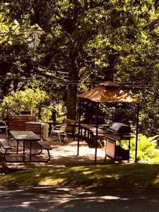Elegant Bed and Breakfast Room with Beautiful Water Views near Lincolnville, Maine