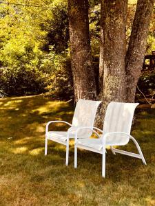 Elegant Bed and Breakfast Room with Beautiful Water Views near Lincolnville, Maine