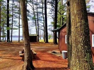 Cozy Lakeside Cabin in Manistee National Forest, Michigan