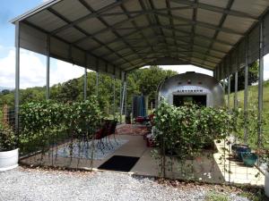 Vintage Airstream for a Unique Getaway near Watauga Lake in Elizabethton, Tennessee
