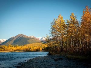 Rustic Log Cabin on the Banks of Kenai Lake, Alaska