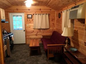 Log Cabin for Family Glamping Vacation near Cherry Springs State Park, Pennsylvania