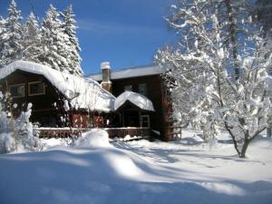 Spacious Pet-Friendly Cabin for a Vacation near Glacier National Park, Montana