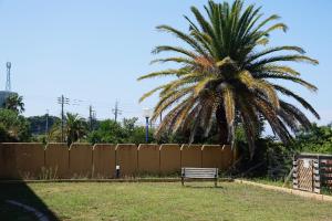 DokiDoggie館山DIANA