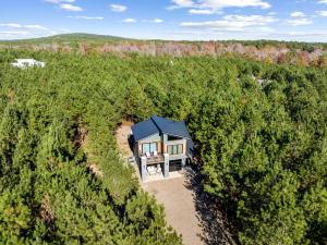 Amazing Secluded Cabin Perfect for Couples in Broken Bow, Oklahoma