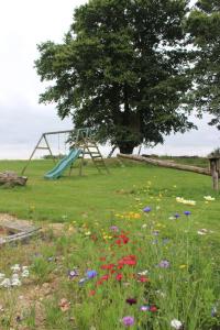 Maisons de vacances Gites a l'ombre des chenes : photos des chambres