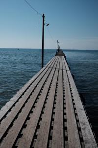 DokiDoggie館山DIANA