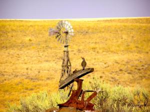 Granary Fishing Cabin Adjacent to Fishing Lakes in Tygh Valley, Oregon