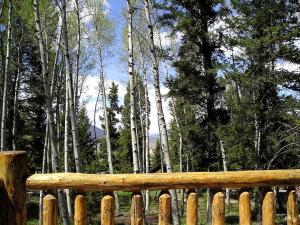 Rustic Family Cabin Nestled Among the Towering Trees in Idaho