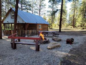 Unique Cabin Rental in Colorado for a Weekend Getaway in the USA