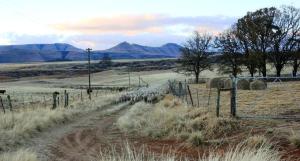 Blarney Stone Cottage