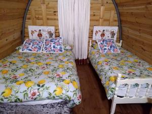 Cozy Ireland Glamping Pod in Country Clare