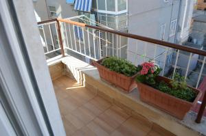 Ginepri House - Centocelle