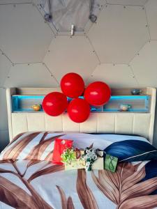 Palmaria Sky Bubbles Room