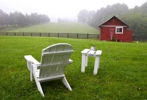 Two-Bedroom, One Bathroom Cottage on 250-Acre Cattle Farm for Getaway near Richmond, Virginia