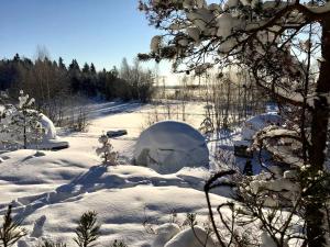Luxury Dome with Ski-InSki-Out Access in Pori for a Holiday in Finland