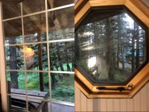 Rustic Cabin Rental for a Secluded Escape to Whale Island, Alaska